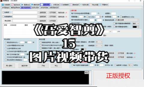 《吾爱智剪》15-图片视频带货