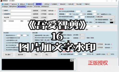 《吾爱智剪》16-图片加文字水印