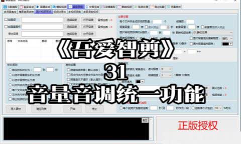 《吾爱智剪》31-音量音调统一功能