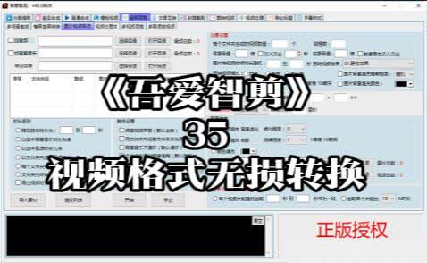 《吾爱智剪》35-视频格式无损转换功能