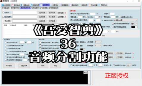 《吾爱智剪》36-音频分割功能[吾爱神器]