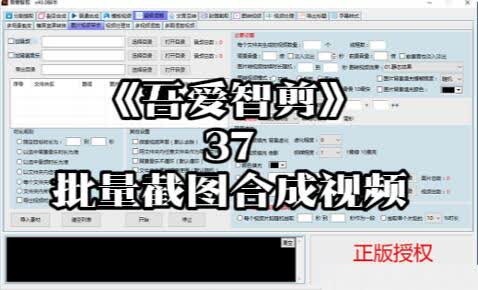 《吾爱智剪》37-视频自动批量截图合成新视频