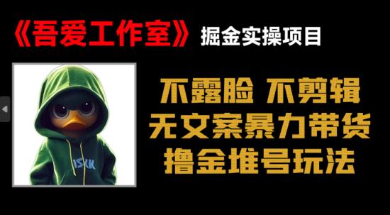 不出镜不剪辑无文案暴力带货视频创作批量堆号项目教程