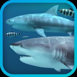 3D动态鲨鱼壁纸Sharks 3D2.1.0