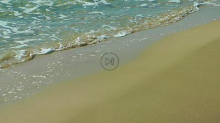 海滩上的波浪，近景[]