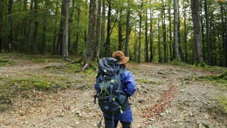 女子在长满青苔的春天森林中自由徒步旅行[]