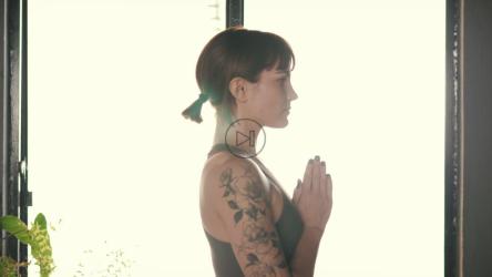 Upward and downward facing dog[免费商用]