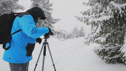 摄影师在冬天的森林里用他的相机[]