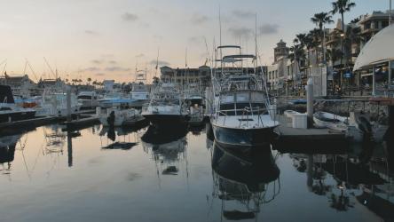 码头上的船只和游艇[免费商用]