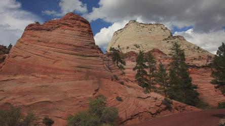 穿过国家公园的交通[]