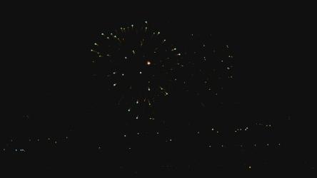烟花在夜里爆炸[4K]