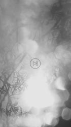 从散焦的水滴中看到的大树[免费商用竖屏]