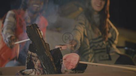 几个朋友在篝火上烧棉花糖[免费商用]