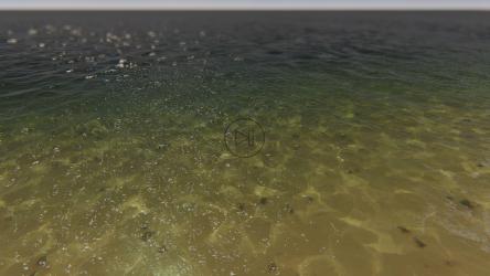 飞越清澈的海水[]