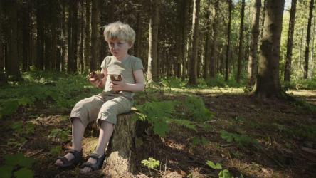 Boy collecting pinecones[4K]
