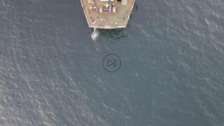 停泊的货船的俯视图[4K]