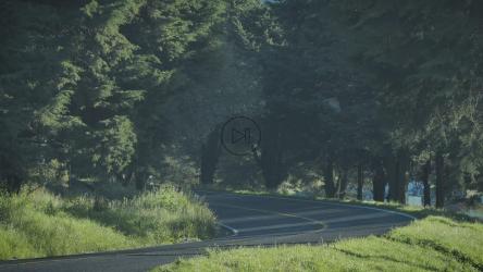 吉普车在大自然之间的道路上[4K免费商用]