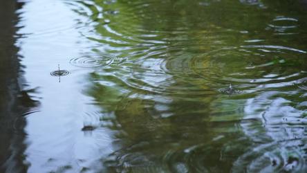 近距离观察，雨落在湖面上[免费商用]