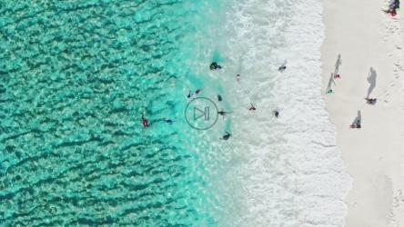 孩子们在海滩度假[免费商用]