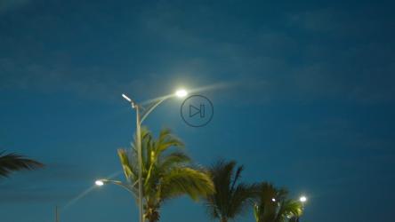 黄昏时从路上看棕榈树[免费商用]