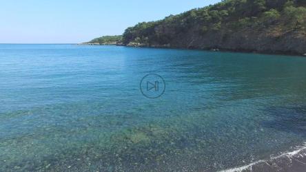 Blue sea and forest[4K]