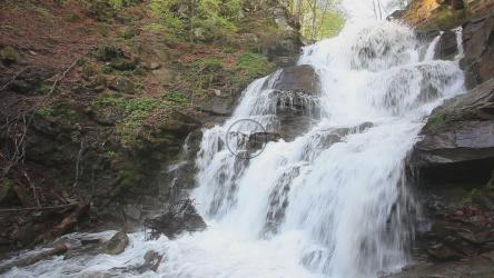 森林岩石上的瀑布[]