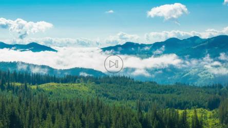 山间薄雾蒙蒙的早晨，时光流逝[]