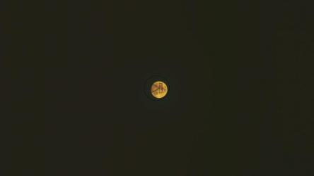 黄色的满月在天空中缓慢移动[]