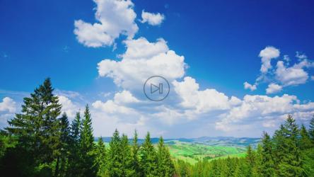 美丽的山区夏季景观[4K]