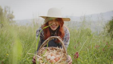 农民女孩展示她的有机鸡蛋[]