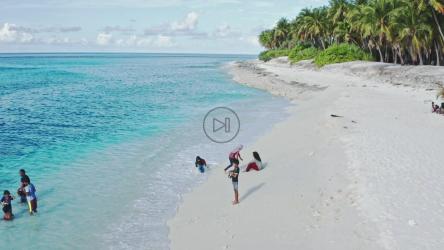 孩子们在沙子里玩耍[免费商用]