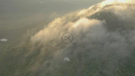 Hill covered with vegetation and mist seen from the air[免费商用]