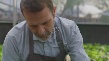 园丁布置一株小植物[免费商用]