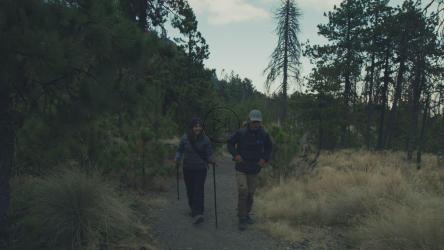 一对年轻夫妇徒步旅行[4K免费商用]