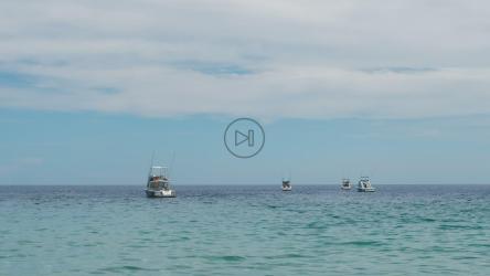 平静海面上的渔船[免费商用]