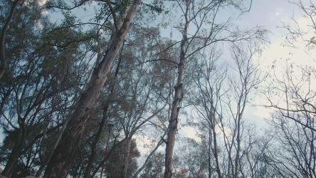 骑自行车的人在森林里上坡[免费商用]