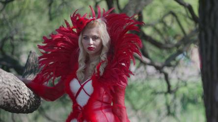 红色羽毛服装时尚拍摄[]