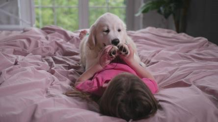 年轻女孩玩小狗[4K]