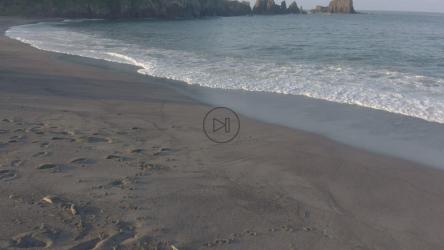 阳光明媚的沙滩上的海浪[免费商用]