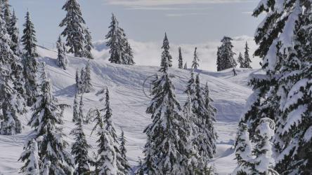 Canadian Mountain Peak Environment[免费商用]