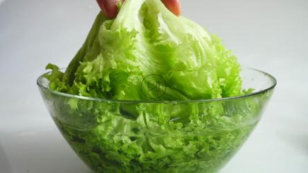 做沙拉前先洗生菜[]