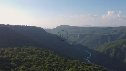 植被覆盖的峡谷上空的空中景观[4K免费商用]