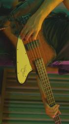 在现场舞台上演奏的贝斯手[免费商用竖屏]