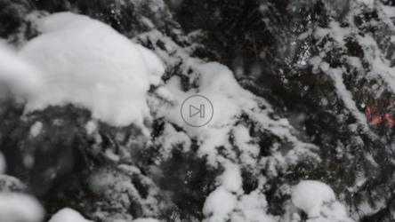 大雪纷飞时环顾四周[]