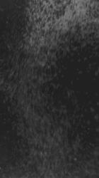 黑色和白色气泡纹理[免费商用竖屏]