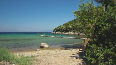 阳光明媚的海滩码头[免费商用]