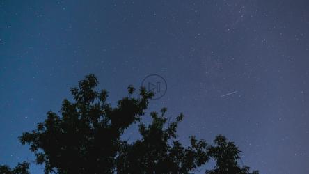 星空和树的轮廓[4K]