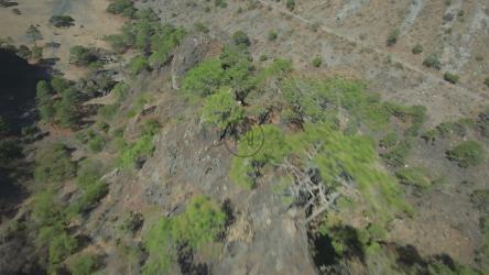 动态立交桥的晴朗干旱环境[免费商用]