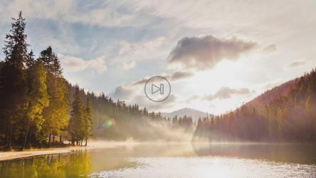 松树林中央的泻湖[]