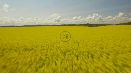 地平线上的云[]